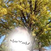 ヒメ日記 2025/11/07 23:45 投稿 あんこ【業界未経験】 茨城水戸ちゃんこ