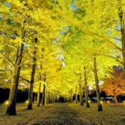 ヒメ日記 2025/11/10 23:18 投稿 あんこ【業界未経験】 茨城水戸ちゃんこ