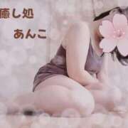 ヒメ日記 2025/11/14 23:25 投稿 あんこ【業界未経験】 茨城水戸ちゃんこ