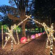 ヒメ日記 2025/11/16 20:55 投稿 あんこ【業界未経験】 茨城水戸ちゃんこ