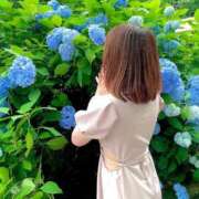 ヒメ日記 2025/09/13 00:33 投稿 ほの BLUE BIRD (ブルーバード) 上越