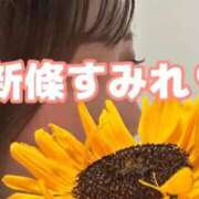 ヒメ日記 2025/09/09 17:02 投稿 新條すみれ 池袋㊙エステ～フル勃起～