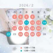 ヒメ日記 2026/02/06 14:51 投稿 新條すみれ 池袋㊙エステ～フル勃起～