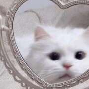 ヒメ日記 2025/10/15 18:14 投稿 しお コンカフェ＆オナクラ ちいかの！池袋店