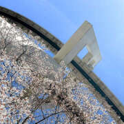 ヒメ日記 2026/03/14 19:52 投稿 愛川すずね ワイフの楽園