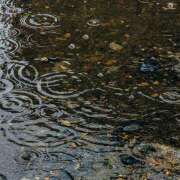 中森幸子 台風接近中ですね 五十路マダムエクスプレス横浜店（カサブランカグループ）