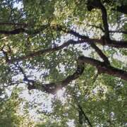 中森幸子 新人2回目の週末、ありがとうございました! 五十路マダムエクスプレス横浜店（カサブランカグループ）