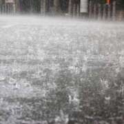 中森幸子 新人3回目の週末です。 五十路マダムエクスプレス横浜店（カサブランカグループ）