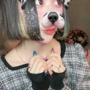 ヒメ日記 2025/09/28 16:08 投稿 うめ ティンカーベル