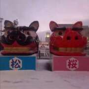 めぐ 遅くなりましたが🐱 香川サンキュー