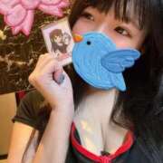 ヒメ日記 2025/11/21 03:59 投稿 かおる SOAPLAND COSPA SAPPORO