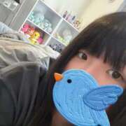 ヒメ日記 2025/11/27 11:01 投稿 かおる SOAPLAND COSPA SAPPORO