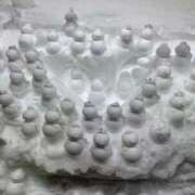 ヒメ日記 2026/01/28 12:06 投稿 かおる SOAPLAND COSPA SAPPORO