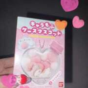 ヒメ日記 2026/02/10 01:29 投稿 かおる SOAPLAND COSPA SAPPORO