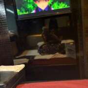 ヒメ日記 2026/02/23 19:55 投稿 かおる SOAPLAND COSPA SAPPORO