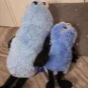 ヒメ日記 2026/03/16 00:49 投稿 かおる SOAPLAND COSPA SAPPORO