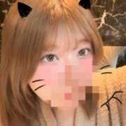 ヒメ日記 2025/11/29 10:19 投稿 ここな SOAPLAND COSPA SAPPORO