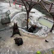 ヒメ日記 2026/02/09 03:19 投稿 ここな SOAPLAND COSPA SAPPORO