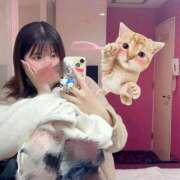 ヒメ日記 2026/02/11 02:29 投稿 ここな SOAPLAND COSPA SAPPORO