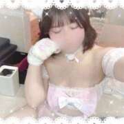 ヒメ日記 2026/02/20 09:25 投稿 ここな SOAPLAND COSPA SAPPORO