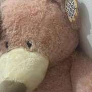 ヒメ日記 2026/02/25 04:09 投稿 ここな SOAPLAND COSPA SAPPORO