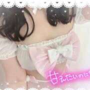 ヒメ日記 2026/03/01 16:29 投稿 ここな SOAPLAND COSPA SAPPORO