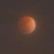 ヒメ日記 2026/03/04 04:09 投稿 ここな SOAPLAND COSPA SAPPORO