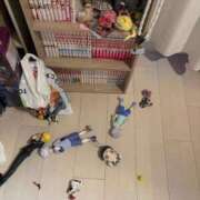 ヒメ日記 2026/03/11 17:59 投稿 ここな SOAPLAND COSPA SAPPORO