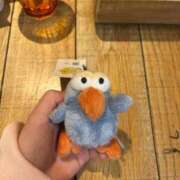 ヒメ日記 2026/03/17 02:59 投稿 ここな SOAPLAND COSPA SAPPORO