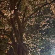 ヒメ日記 2026/04/21 20:39 投稿 ここな SOAPLAND COSPA SAPPORO