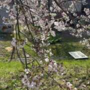 ヒメ日記 2026/04/25 19:24 投稿 ここな SOAPLAND COSPA SAPPORO