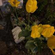 ヒメ日記 2026/05/08 00:49 投稿 ここな SOAPLAND COSPA SAPPORO