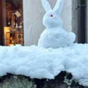 ヒメ日記 2026/01/29 16:37 投稿 らな エピセレクション