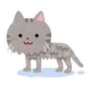 ヒメ日記 2026/01/07 07:49 投稿 ひな オナクラ大人女子