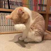 ヒメ日記 2025/11/02 10:49 投稿 みなみ オナクラ大人女子