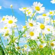 れい こんにちは😋 オナクラ大人女子