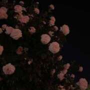 ヒメ日記 2025/09/01 07:00 投稿 ココ Aroma De Pari（アロマ・デ・パリ）