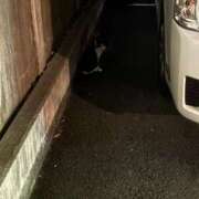 ヒメ日記 2025/09/02 07:00 投稿 ココ Aroma De Pari（アロマ・デ・パリ）