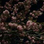 ヒメ日記 2025/09/09 07:01 投稿 ココ Aroma De Pari（アロマ・デ・パリ）