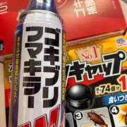 ヒメ日記 2025/09/25 17:21 投稿 心花【コノハ】 輝女