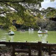 ヒメ日記 2025/11/08 14:07 投稿 心花【コノハ】 輝女