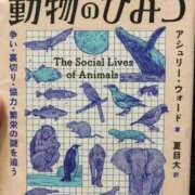 ヒメ日記 2025/11/18 19:07 投稿 心花【コノハ】 輝女