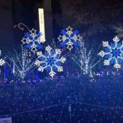 ヒメ日記 2025/11/22 23:03 投稿 心花【コノハ】 輝女