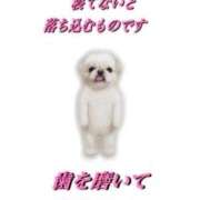 ヒメ日記 2025/12/06 22:45 投稿 心花【コノハ】 輝女