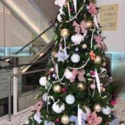 ヒメ日記 2025/12/24 23:45 投稿 心花【コノハ】 輝女