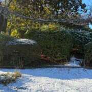 ヒメ日記 2026/01/04 11:29 投稿 心花【コノハ】 輝女