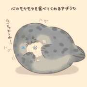 ヒメ日記 2026/01/28 18:02 投稿 心花【コノハ】 輝女