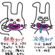 ヒメ日記 2026/03/06 20:45 投稿 心花【コノハ】 輝女