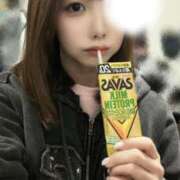 ヒメ日記 2026/03/30 08:22 投稿 心花【コノハ】 輝女