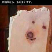 ヒメ日記 2026/04/02 17:02 投稿 心花【コノハ】 輝女